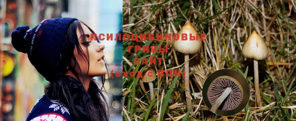 СК Белокуриха