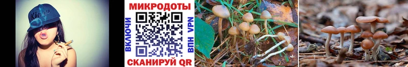Псилоцибиновые грибы мухоморы  купить закладку  Кузнецк 