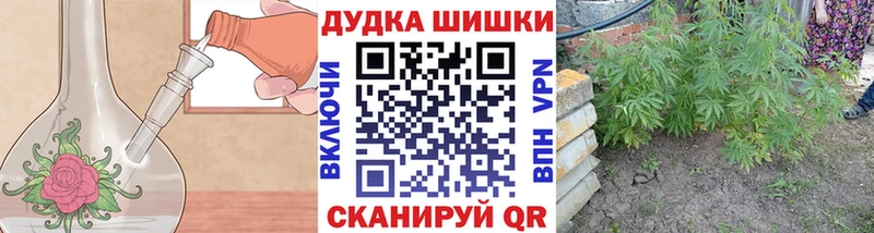 Марихуана конопля Кузнецк